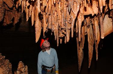 Stalactites in the Wild Cave. Photo credit: USDA Forest Service.