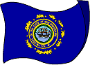 New Hampshire Flag